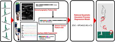 Evaluating Electromyography and Sonomyography Sensor Fusion to Estimate Lower-Limb Kinematics Using Gaussian Process Regression
